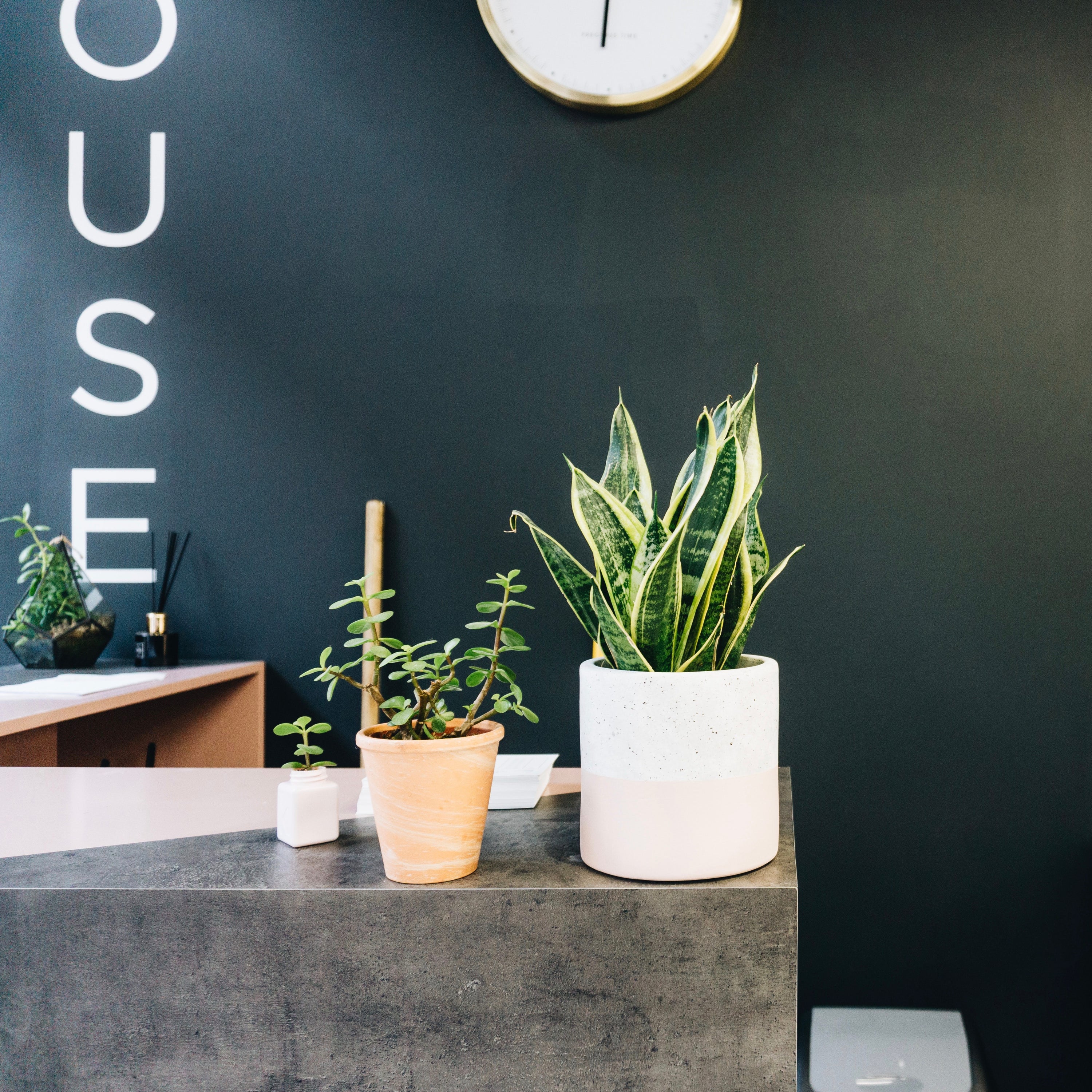 Tips & Tricks on Creating a More Sustainable Salon