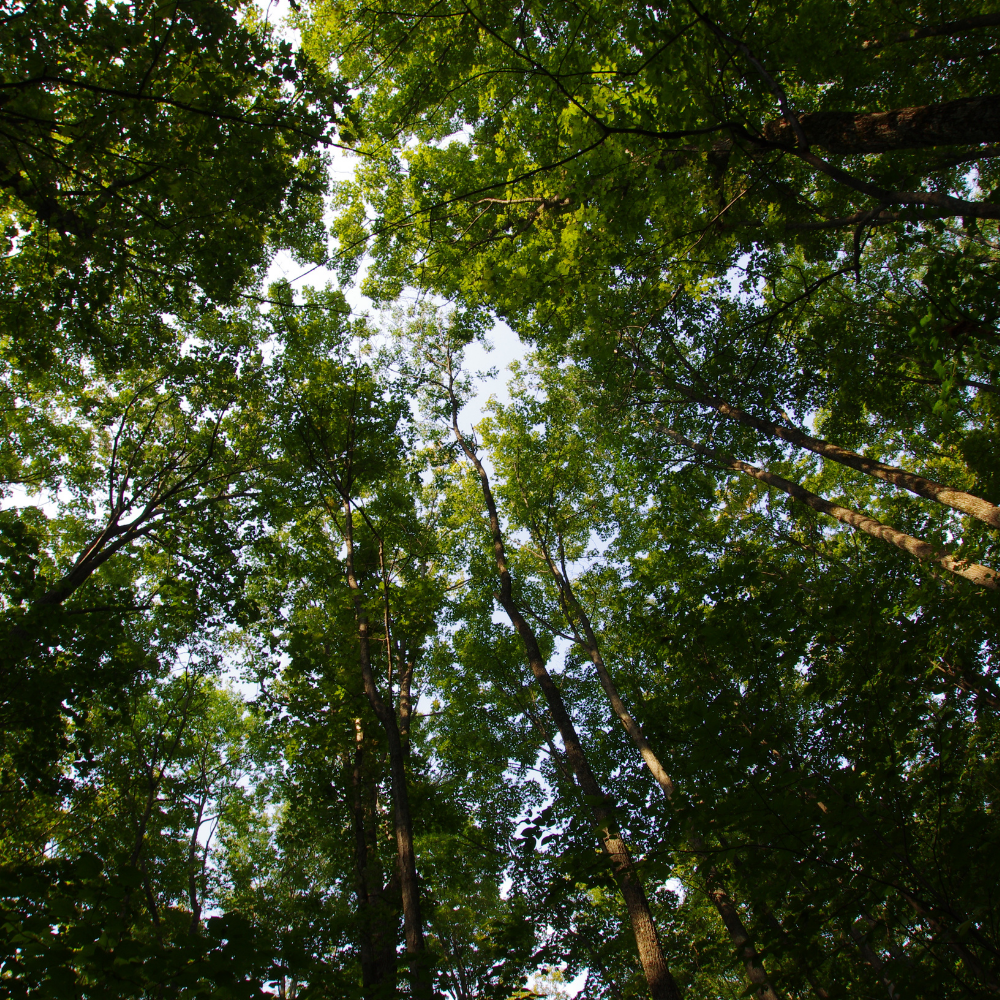 We made an impact  – thanks to you!